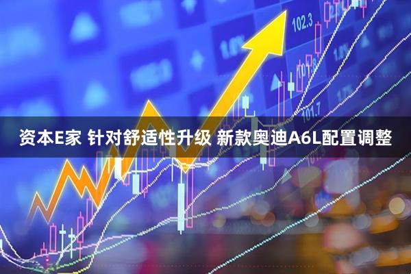 资本E家 针对舒适性升级 新款奥迪A6L配置调整