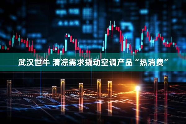 武汉世牛 清凉需求撬动空调产品“热消费”