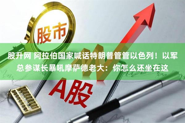 股升网 阿拉伯国家喊话特朗普管管以色列！以军总参谋长暴吼摩萨德老大：你怎么还坐在这