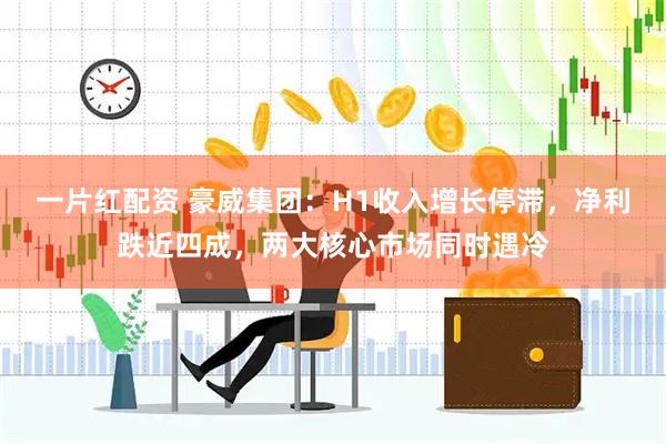 一片红配资 豪威集团：H1收入增长停滞，净利跌近四成，两大核心市场同时遇冷